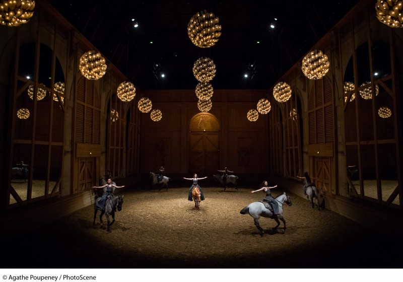 Académie équestre - spectacle équestre - écurie - chevaux - Versailles - Bartabas