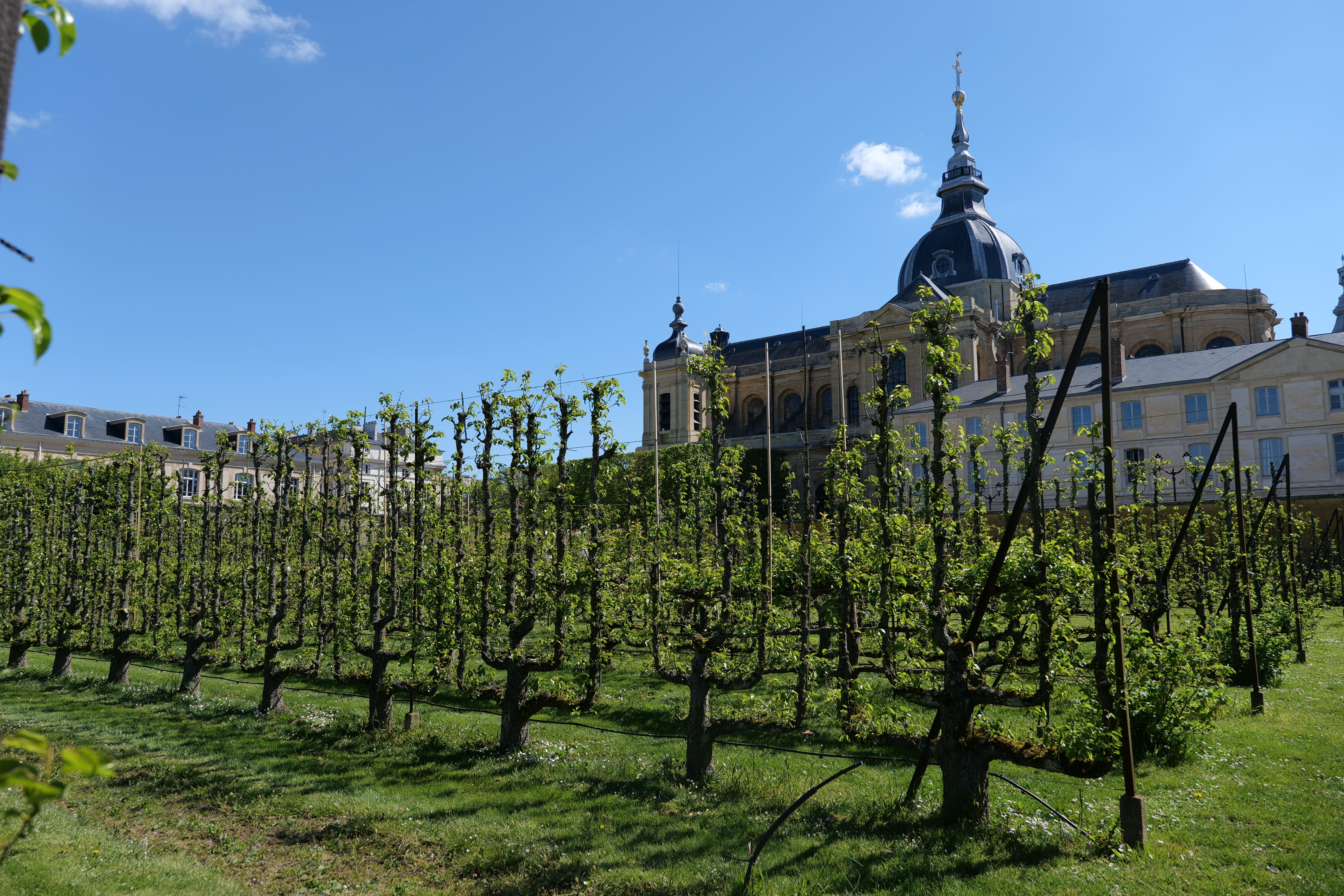 King's Kitchen Garden - Entry ticket | Ticketing VERSAILLES